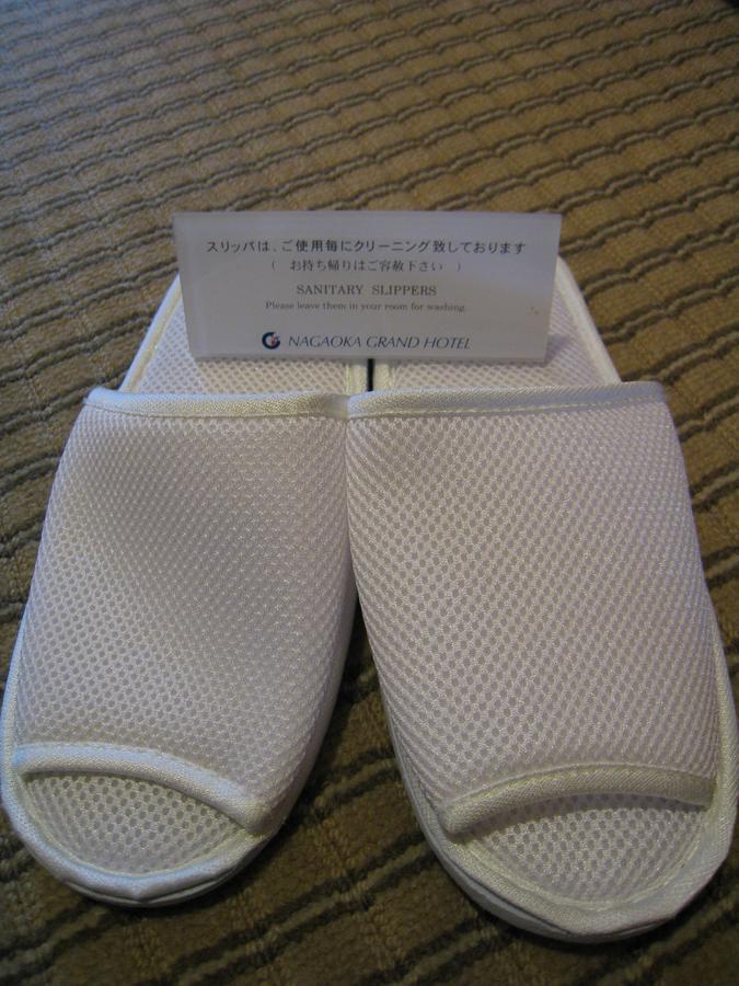 Nagaoka Grand Hotel Экстерьер фото